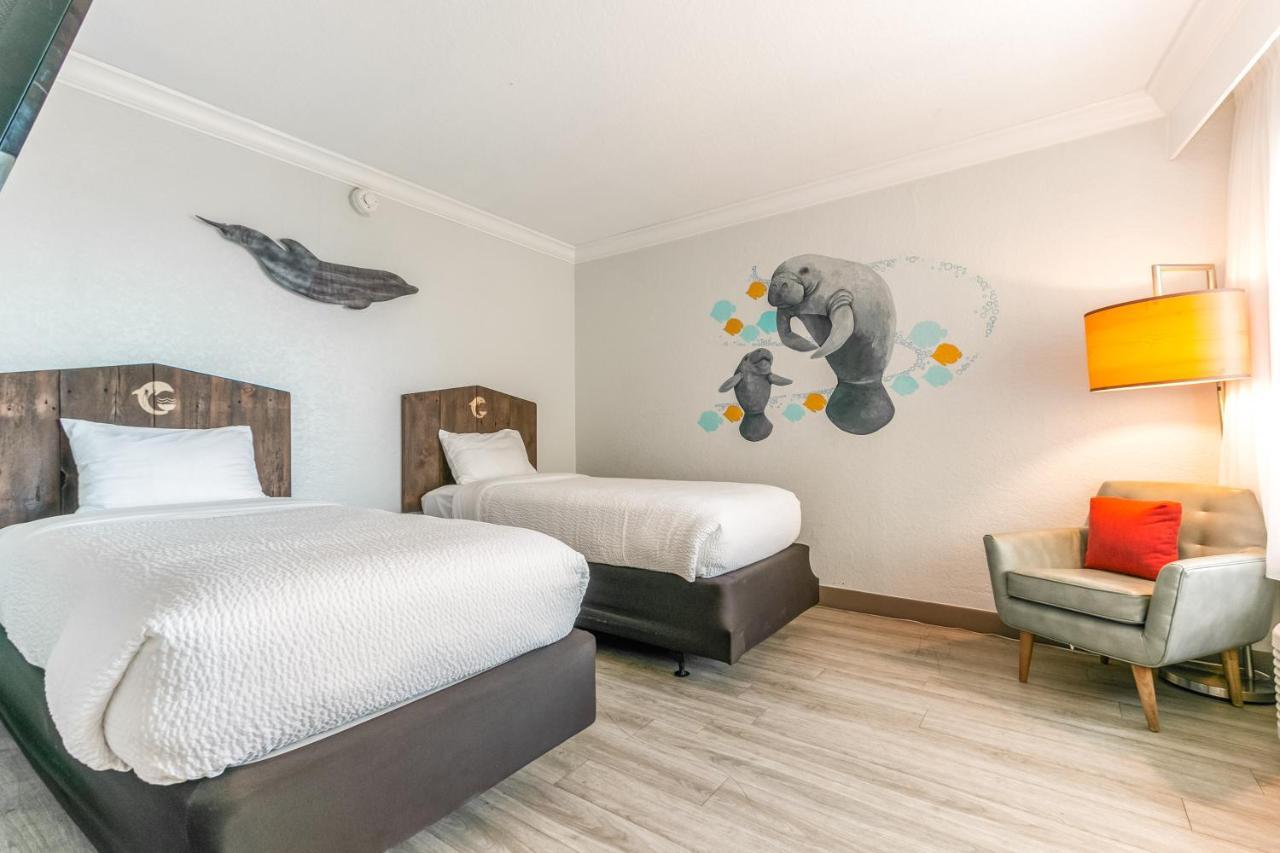 Winter The Dolphin'S Beach Club, Ascend Hotel Collection Clearwater Beach Extérieur photo