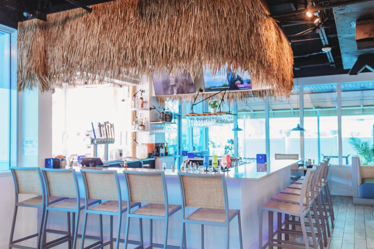 Winter The Dolphin'S Beach Club, Ascend Hotel Collection Clearwater Beach Extérieur photo