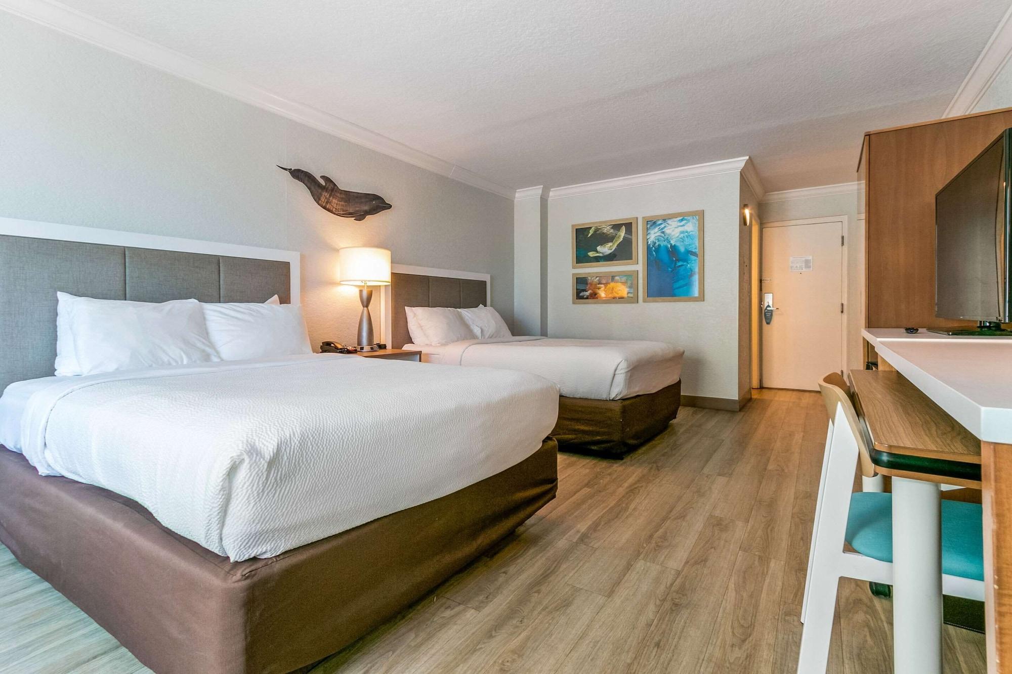 Winter The Dolphin'S Beach Club, Ascend Hotel Collection Clearwater Beach Extérieur photo