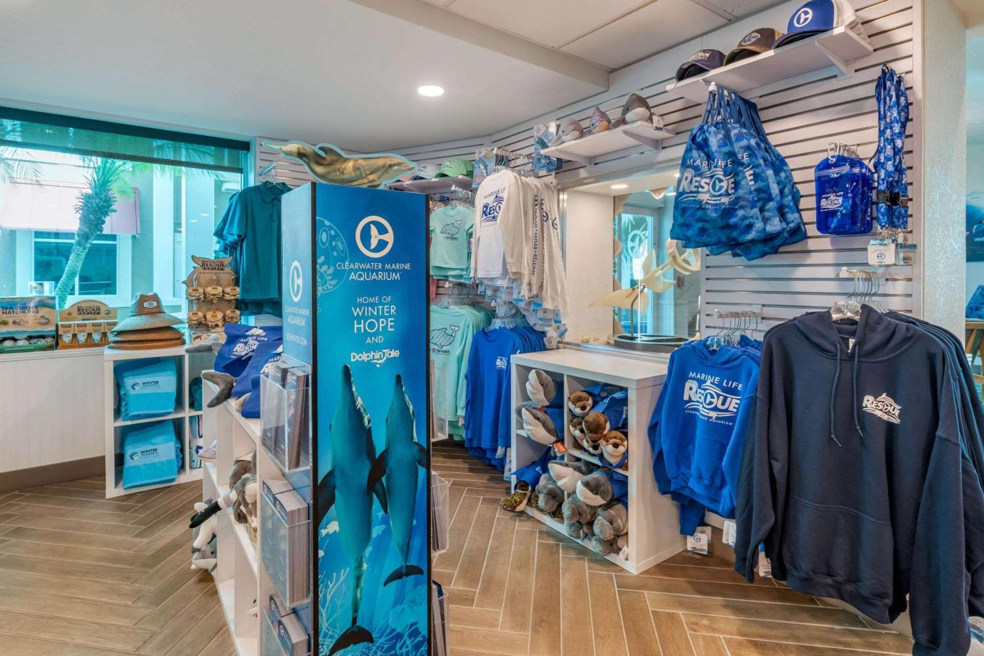 Winter The Dolphin'S Beach Club, Ascend Hotel Collection Clearwater Beach Extérieur photo