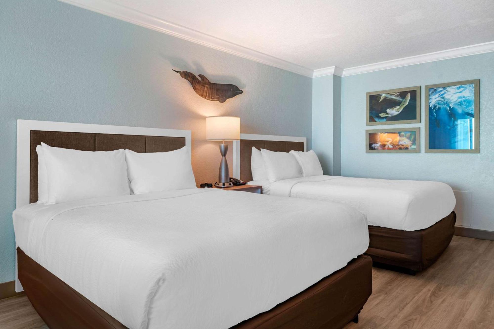 Winter The Dolphin'S Beach Club, Ascend Hotel Collection Clearwater Beach Extérieur photo