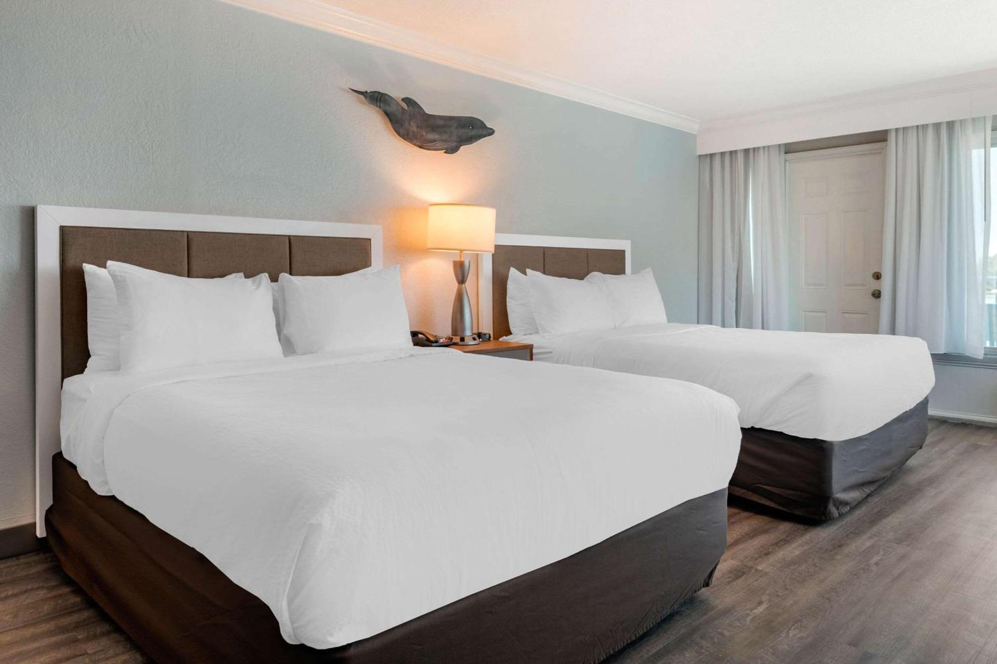 Winter The Dolphin'S Beach Club, Ascend Hotel Collection Clearwater Beach Extérieur photo