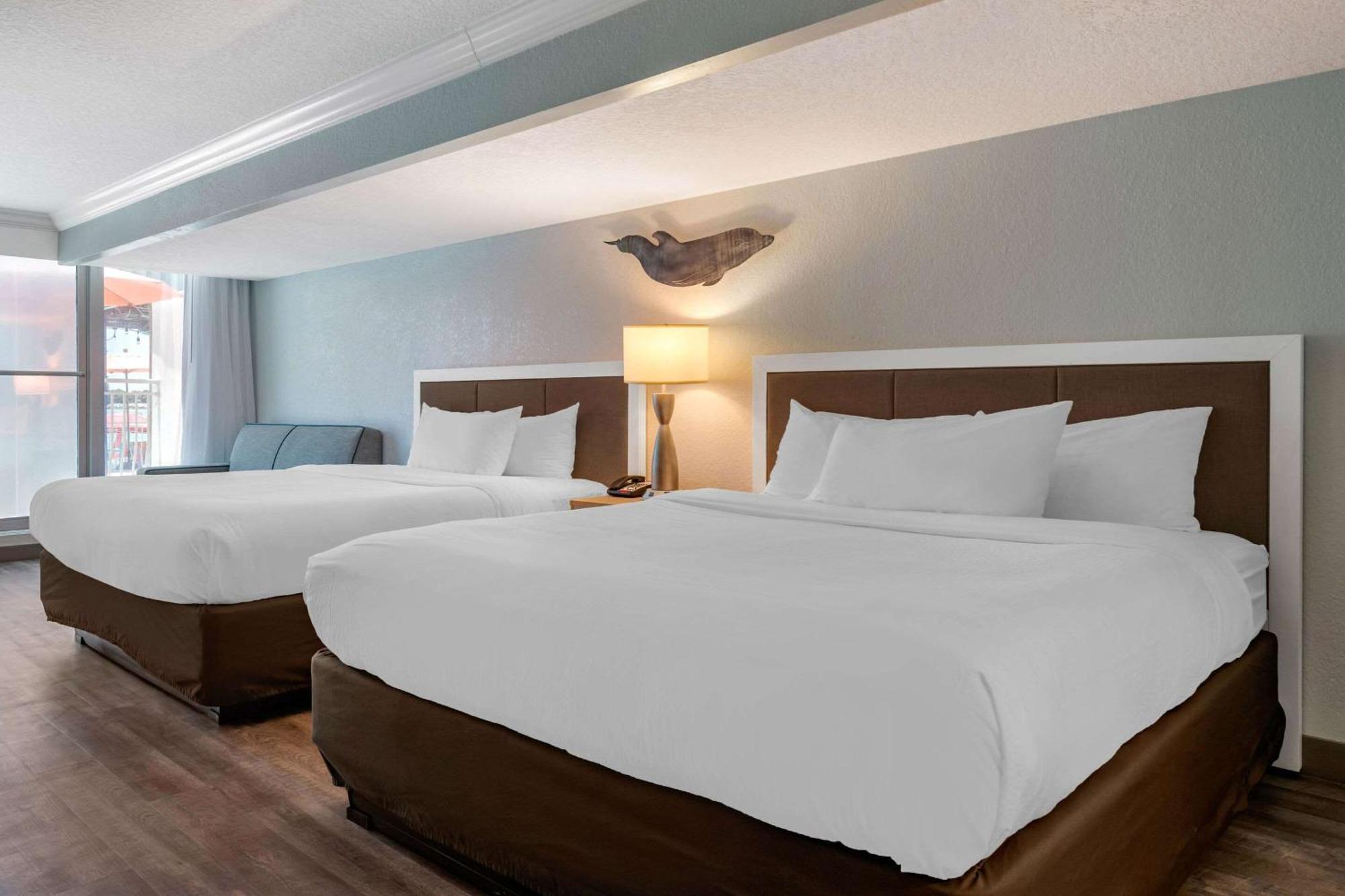 Winter The Dolphin'S Beach Club, Ascend Hotel Collection Clearwater Beach Extérieur photo
