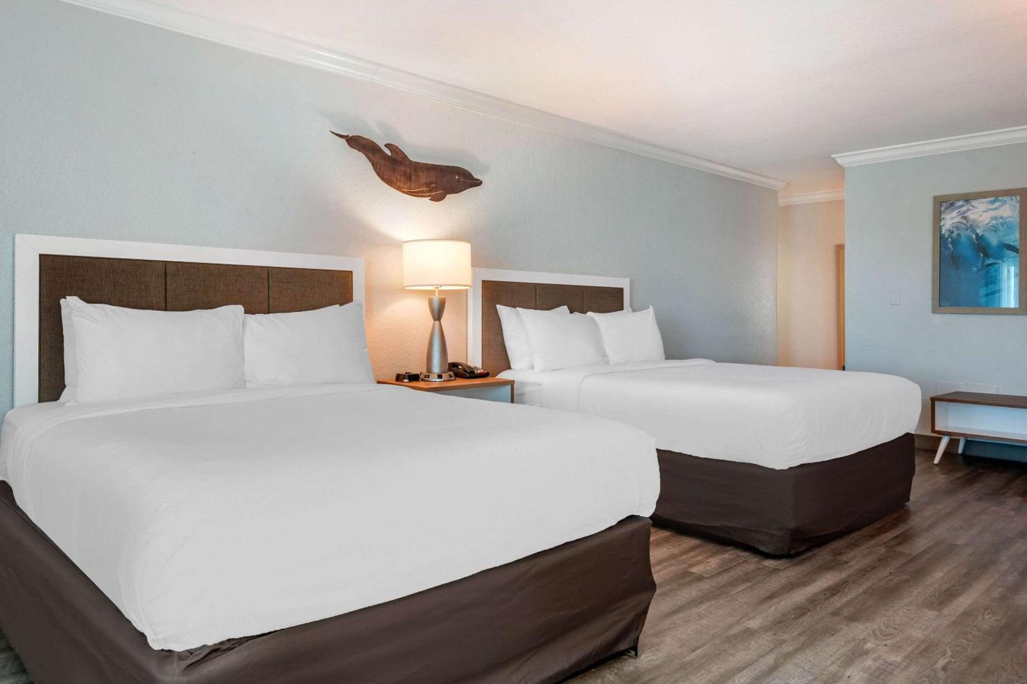 Winter The Dolphin'S Beach Club, Ascend Hotel Collection Clearwater Beach Extérieur photo