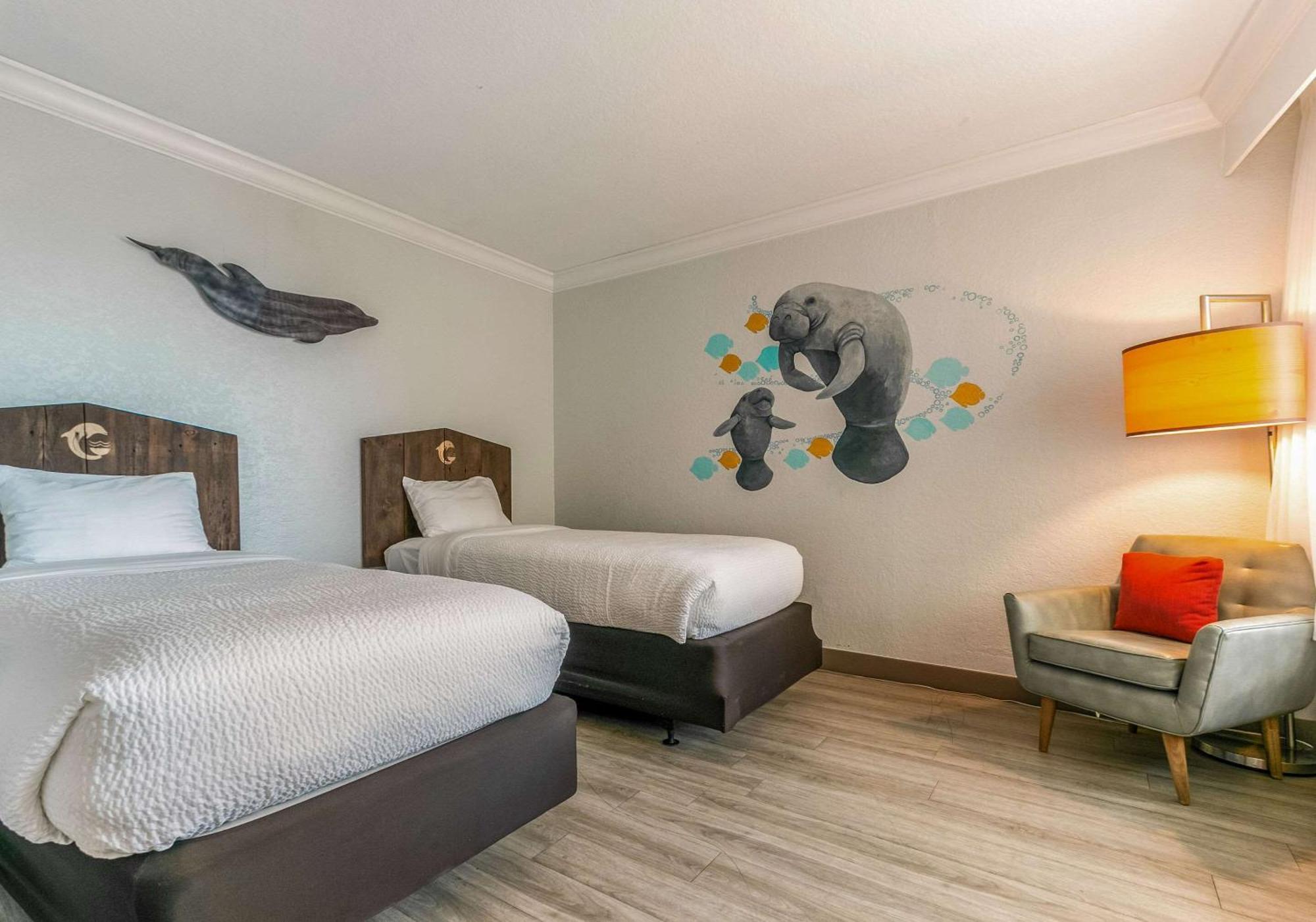 Winter The Dolphin'S Beach Club, Ascend Hotel Collection Clearwater Beach Extérieur photo