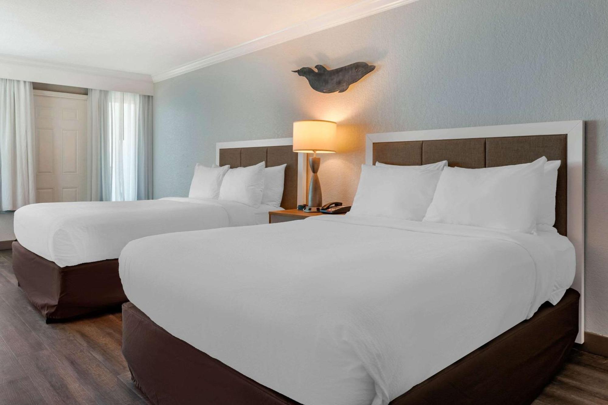 Winter The Dolphin'S Beach Club, Ascend Hotel Collection Clearwater Beach Extérieur photo
